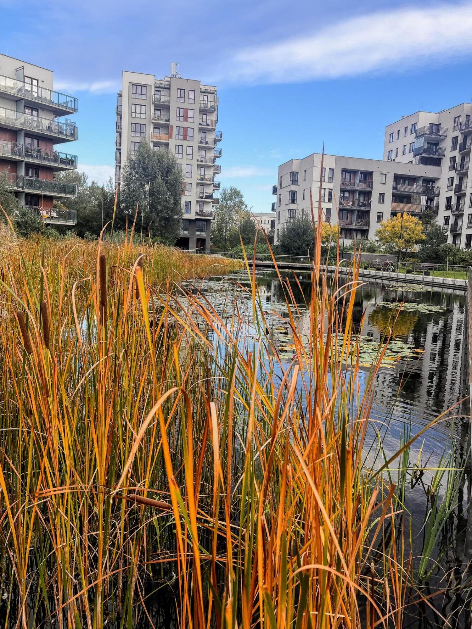 Lake Park Apartament With Free Parking Airport Netflix Apartment Warsaw Luaran gambar